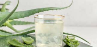 Der Saft der Aloe vera ist super gesund.