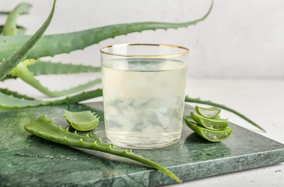 Der Saft der Aloe vera ist super gesund. 