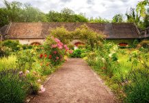 Ordnung halten im Kräutergarten